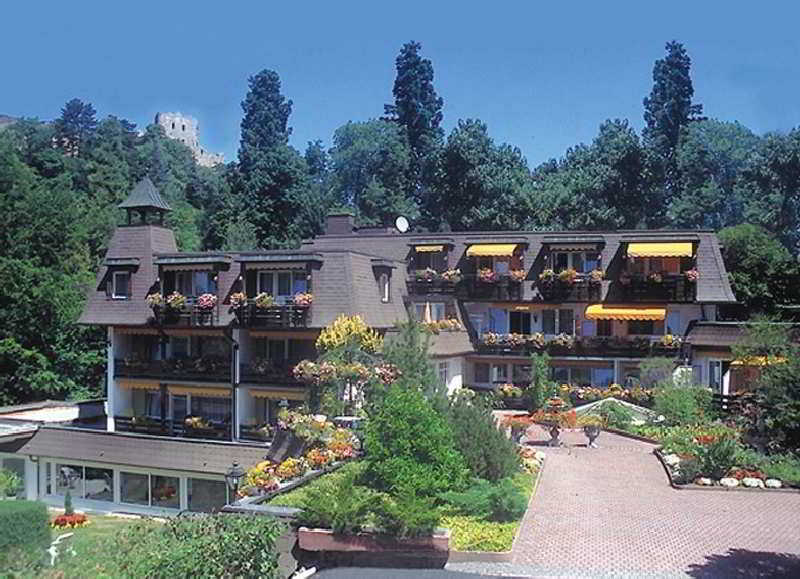 Hotel Ritter Badenweiler Amenities photo